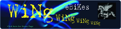 Bitmap in Wing logo home page large