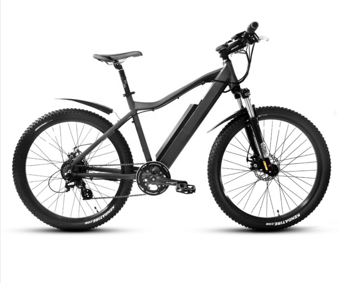 Black, Grey Panther 1000w 48v eBike – WiNg eBikes