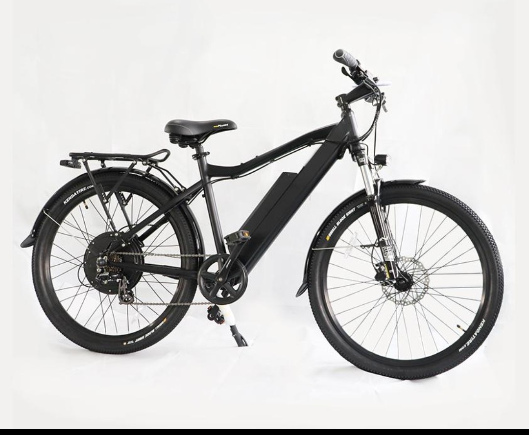 Black, Grey Panther 1000w 48v eBike – WiNg eBikes